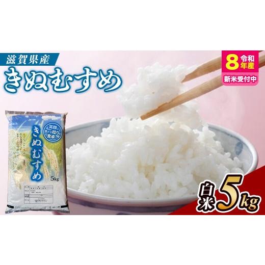 ふるさと納税 米 滋賀県 甲賀市 令和8年産 新米 先行予約 近江米きぬむすめ5kg(精米) 2026年9月〜発送