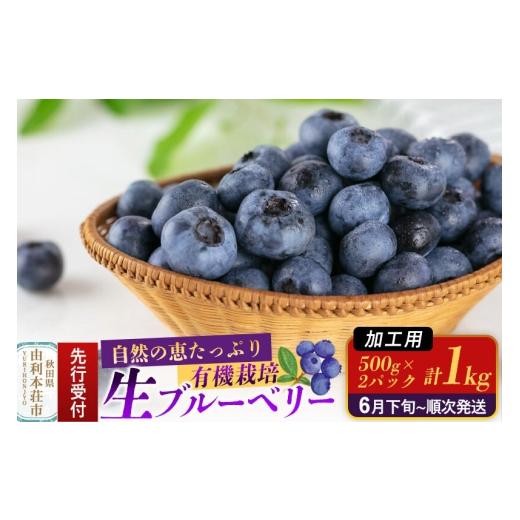 ふるさと納税 果物類 秋田県 由利本荘市 [先行受付] 加工用 田口農園 秋田県産 ブルーベリー 生 合計1kg(500g×2パック) ブルーベリー 有機栽培 加工用 新…