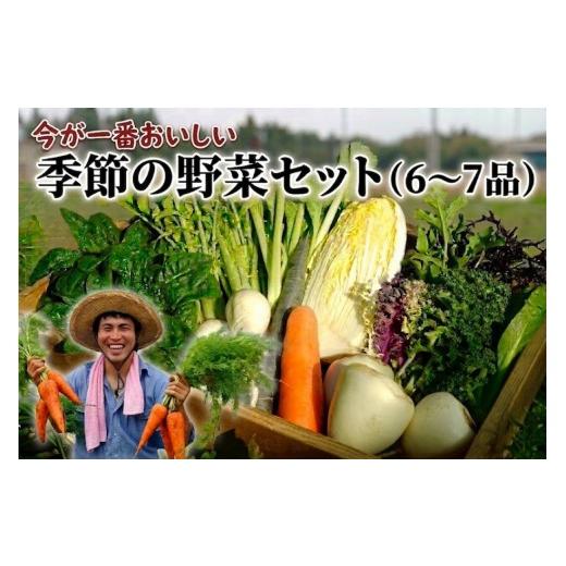 ふるさと納税 セット・詰合せ 千葉県 匝瑳市 季節の野菜セット(6〜7品) 単発