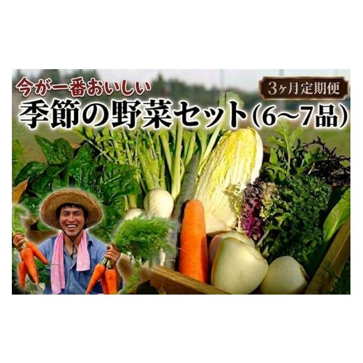 ふるさと納税 セット・詰合せ 千葉県 匝瑳市 定期便3回 季節の野菜セット(6〜7品) 3ヶ月定期便