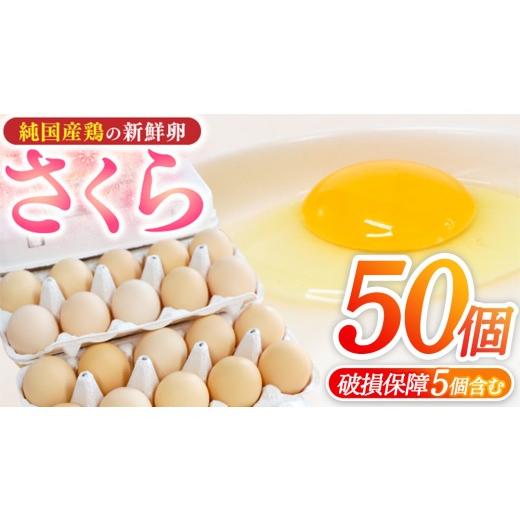 ふるさと納税 卵(鶏、烏骨鶏等) 岩手県 紫波町 純国産鶏 さくら 純たまご 50個入り 破損保証5個を含む たまご 卵 玉子 鶏卵 純たまご 採れたて 新鮮 卵 農地…