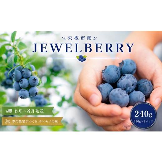 ふるさと納税 果物類 栃木県 矢板市 矢板市産 完熟 ブルーベリー JEWELBERRY 240g(120g×2パック) 2026年6月〜8月発送 栃木県 矢板市 240g(120g×2パック…