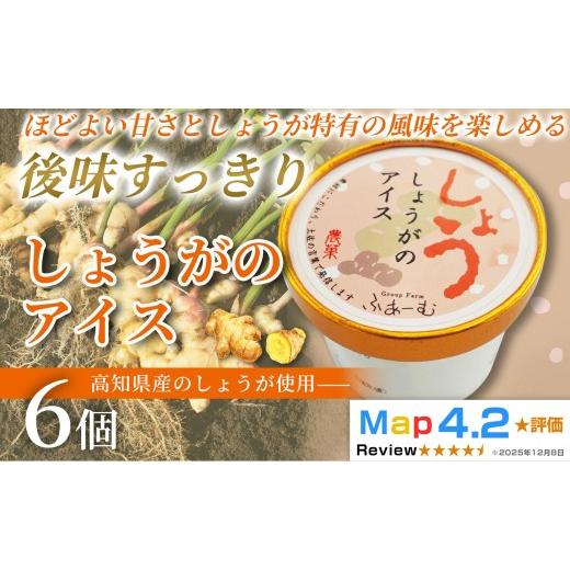 ふるさと納税 菓子 アイス 高知県 安芸市 しょうがのアイス 100ml × 6個 アイスクリーム 人気 おやつ お菓子 アイスクリーム ファミリー おすすめ ご当地アイ…