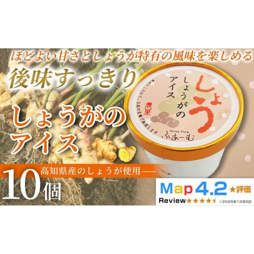 ふるさと納税 菓子 アイス 高知県 安芸市 しょうがのアイス 100ml × 10個 アイスクリーム 人気 おやつ お菓子 アイスクリーム ファミリー おすすめ ご当地ア…