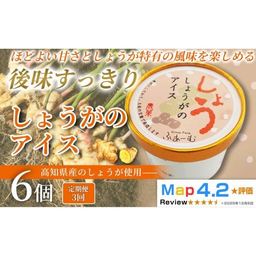 ふるさと納税 菓子 アイス 高知県 安芸市 しょうがのアイス 18個 100ml × 6個 3回定期便 アイスクリーム 人気 おやつ お菓子 アイスクリーム ファミリー おす…