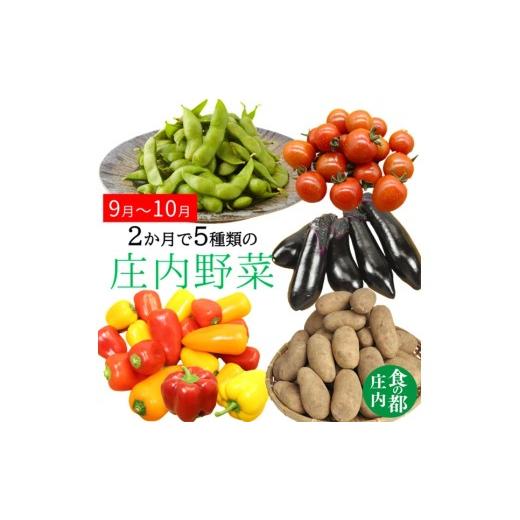 ふるさと納税 セット・詰合せ 山形県 三川町 食の都庄内 2か月で5種類の庄内野菜たち 9月〜10月