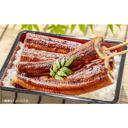ふるさと納税 うなぎ 大阪府 熊取町 めぐみうなぎ 蒲焼き 3尾 セット うなぎ 鰻 ウナギ 魚類 土用丑の日 うな重 うな丼 晩ごはん 惣菜 おかず 贅沢 冷凍 国産 …