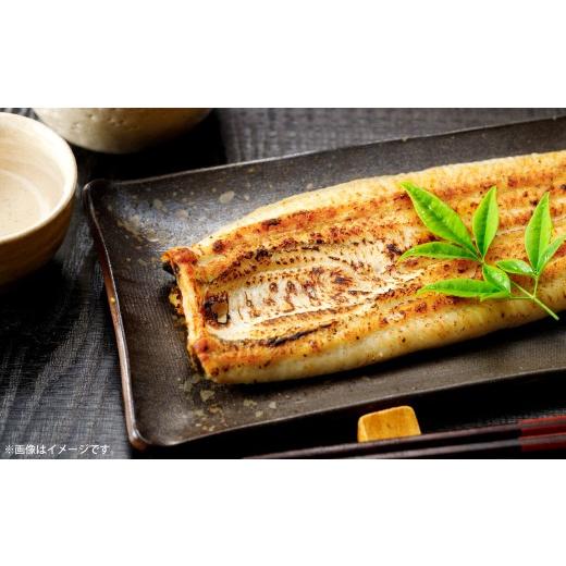 ふるさと納税 うなぎ 大阪府 熊取町 めぐみうなぎ 白焼き 3尾 セット うなぎ 鰻 ウナギ 魚類 土用丑の日 うな重 うな丼 晩ごはん 惣菜 おかず 贅沢 冷凍 国産 …