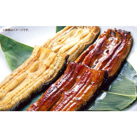 ふるさと納税 うなぎ 大阪府 熊取町 めぐみうなぎ 堪能うなぎづくし セット 蒲焼 × 4 / 白焼き × 2 / 肝 × 2 うなぎ 鰻 ウナギ 魚類 土用丑の日 うな重 …