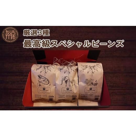 ふるさと納税 コーヒー コーヒー豆 兵庫県 加古川市 ＼お中元/最高級スペシャルビーンズ 厳選3種[ 焙煎豆 焙煎 コーヒー 珈琲 ] 2402G11701 お中元用