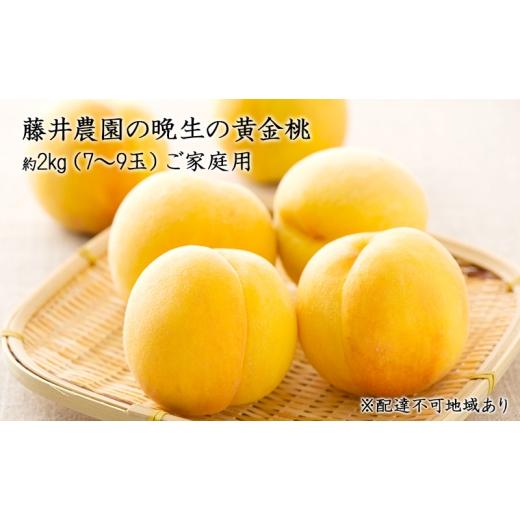 ふるさと納税 もも 岡山県 里庄町 2026年先行予約 桃 岡山県産 ご家庭用 もも 2026年 先行予約 ご家庭用 晩生の黄金桃 約2kg(7〜9玉) 藤井農園[2026年9月…