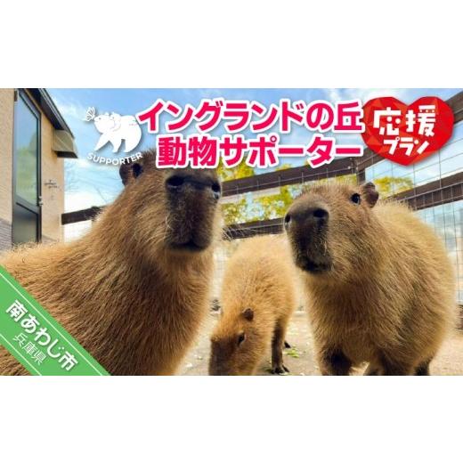 ふるさと納税 入場券・優待券 兵庫県 南あわじ市 イングランドの丘 動物サポーター[応援プラン]