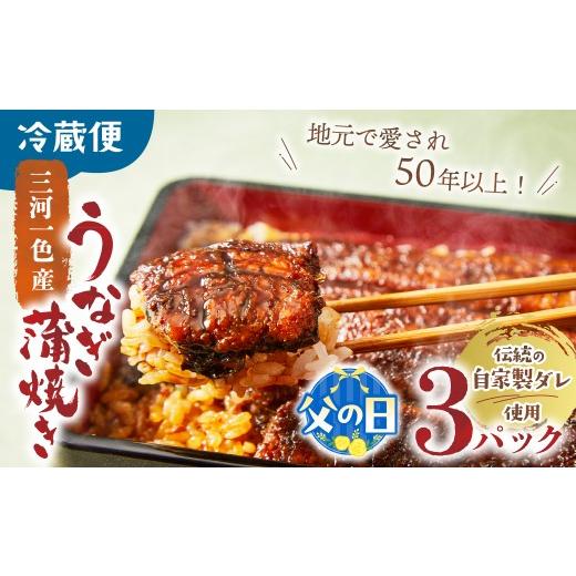 ふるさと納税 うなぎ 三重県 多気町 父の日ギフト 3代目が焼く蒲焼き真空パックA 3パック 国産 うなぎ 蒲焼 鰻 ウナギ 蒲焼 国産 鰻 ウナギ うなぎ 蒲焼き う…