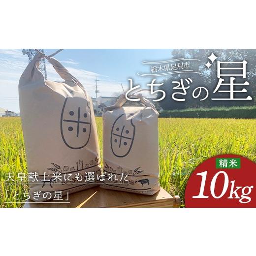 ふるさと納税 米 栃木県 足利市 とちぎの星 お米 10kg 米 こめ 食品 農家 贈答 贈り物 ギフト プレゼント 家庭 自宅 栃木県 足利市