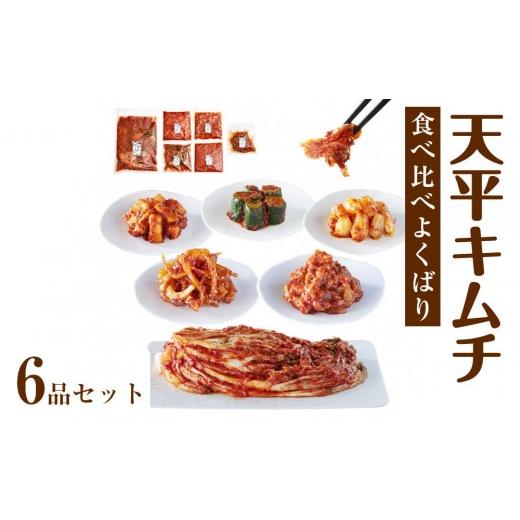 ふるさと納税 加工品等 キムチ 滋賀県 高島市 天平キムチ 食べ比べよくばり6品セット