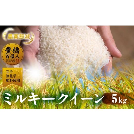 ふるさと納税 米 ミルキークイーン 愛知県 豊橋市 1回お届け 令和7年産 ミルキークイーン 5kg 白米 ブランド米 ミルキー ミルキークイーン お米 こめ 米 コメ…