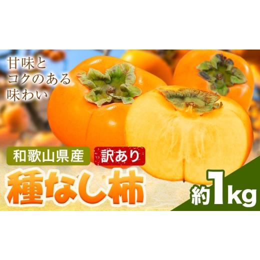 ふるさと納税 果物類 柿 和歌山県 日高町 家庭用 種なし柿 約1kg 訳あり 池田鹿蔵農園[10月上旬-12月上旬頃出荷]和歌山県 日高町 刀根早生柿 平核無柿 ひら…