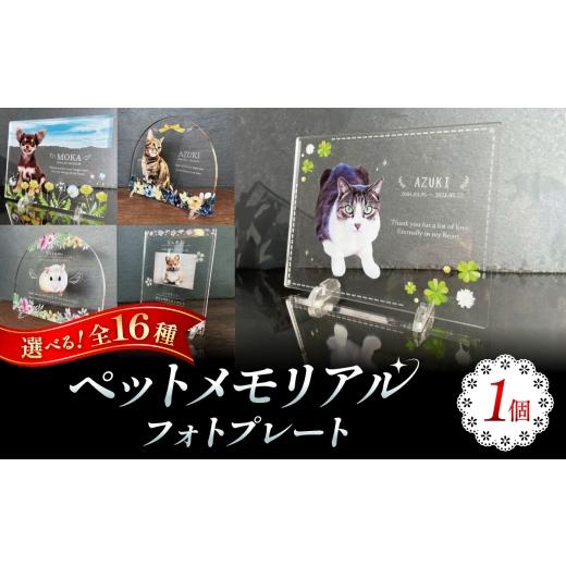 ふるさと納税 雑貨・日用品 インテリア 愛知県 稲沢市 ペットメモリアルフォトプレート ボタニカルフラワー / 思い出 ペット アクリルスタンド / 稲沢市 / …