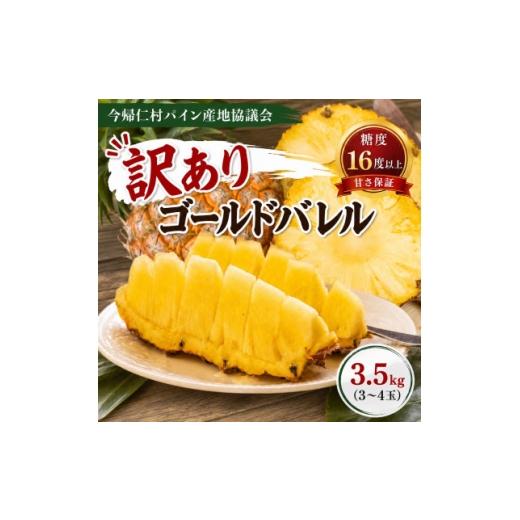 ふるさと納税 果物類 沖縄県 今帰仁村 2026年6月下旬から順次発送 今帰仁村パイン産地協議会 ゴールドバレル3.5kg(3〜4玉) 1737652