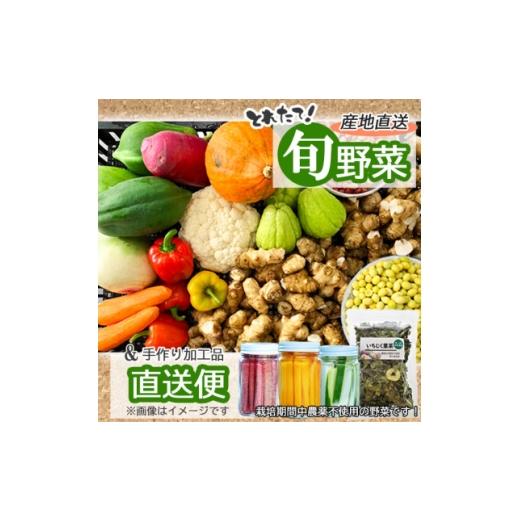 ふるさと納税 加工品等 東京都 東久留米市 [2026年6月〜9月発送 冷蔵便] 東京都東久留米市 旬野菜と加工品のセット 10品以上 1536310