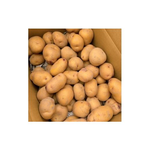 ふるさと納税 野菜類 じゃがいも 和歌山県 橋本市 栽培期間中農薬化学肥料不使用 新じゃがインカのめざめ 計4.8kg 1702332