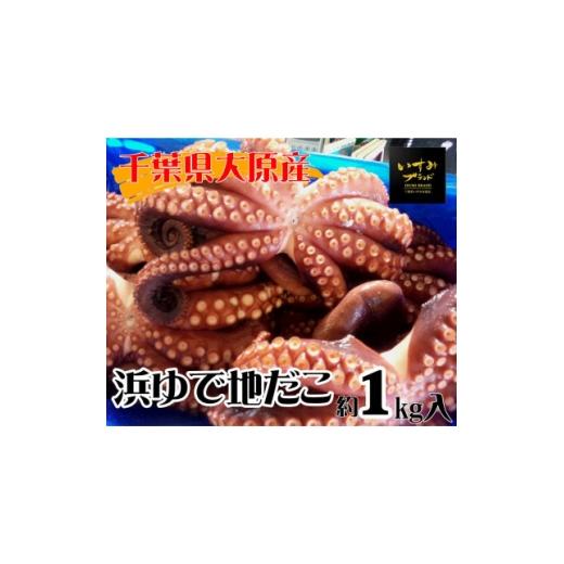 ふるさと納税 タコ 千葉県 いすみ市 千葉県大原産 浜ゆで地だこ 約1kg 1711005
