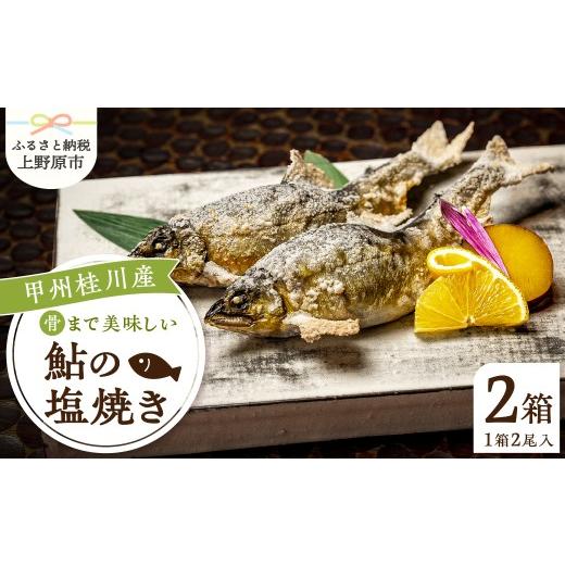 ふるさと納税 川魚 あゆ 山梨県 上野原市 甲州桂川産 鮎の塩焼き 常温保存が可能なタイプ