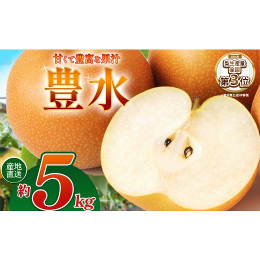 ふるさと納税 梨 栃木県 那珂川町 2026年先行予約 豊水 約5kg | 梨 なし ナシ 新品種 先行予約 大粒 新鮮 甘い 美味しい 果物 くだもの フルーツ ふるーつ 共…