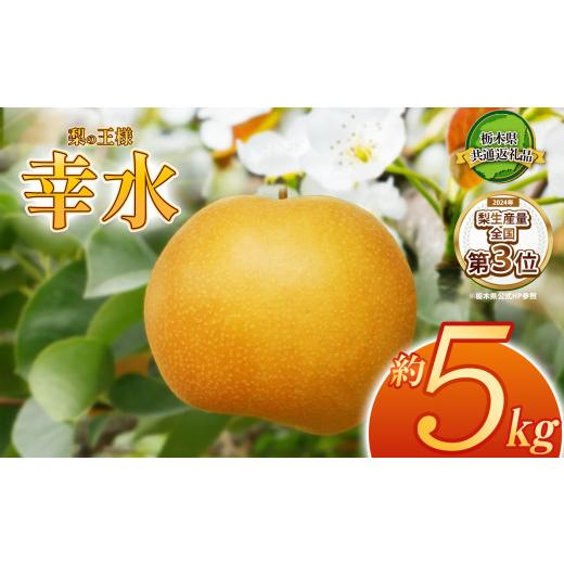 ふるさと納税 梨 栃木県 那珂川町 2026年先行予約 幸水 約5kg | 梨 なし ナシ 新品種 先行予約 大粒 新鮮 甘い 美味しい 果物 くだもの フルーツ ふるーつ 共…