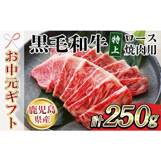ふるさと納税 牛肉 ロース 鹿児島県 いちき串木野市 お中元 鹿児島県産 黒毛和牛 特上ロース 250g 国産 鹿児島 尾崎牧場 冷凍 和牛 ロース 焼肉 に おすすめ …