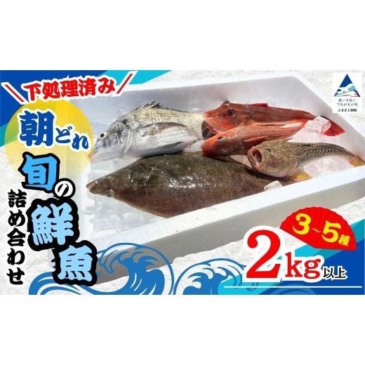 ふるさと納税 旬の鮮魚等 石川県 小松市 下処理済み 朝どれ 旬の鮮魚 詰め合わせ 2kg以上 (3〜5種) 下処理済 朝捕れ 産地直送 詰合せ 天然 鮮魚便 鮮魚セット…
