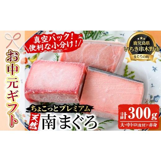 ふるさと納税 マグロ 鹿児島県 いちき串木野市 お中元 天然 南マグロ 真空 冷凍 大トロ 100g 中トロ 100g 赤身 100g 合計300g ちょこっとプレミアム 希少 な …