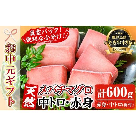 ふるさと納税 マグロ 鹿児島県 いちき串木野市 お中元 天然 旬の メバチマグロ 約600g(中トロ 100g×2 赤身 100g×4)を 便利 な 小分け 柵 でお届け まぐろ…