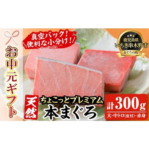 ふるさと納税 マグロ 鹿児島県 いちき串木野市 お中元 天然 本マグロ 300g(大トロ 100g 中トロ 100g 赤身 100g) ちょこっとプレミアム 真空 冷凍 希少 な …