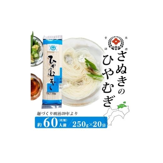 ふるさと納税 麺類 冷麦 香川県 観音寺市 合田照一商店 さぬきうどん店が作る ひやむぎ 250g×20袋詰 讃岐 冷麦 麺 麺類 乾麺 香川 観音寺市