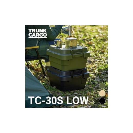 ふるさと納税 雑貨・日用品 岐阜県 各務原市 1272 トランクカーゴ TC-30S LOW グリーン グリーン