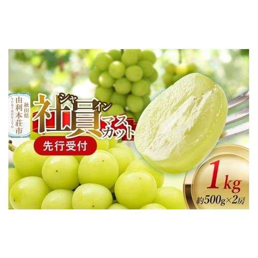 ふるさと納税 ぶどう マスカット 秋田県 由利本荘市 [先行受付]シャインマスカット 社員マスカット 約500g×2房 1kg ぶどう ブドウ 葡萄 シャインマスカット…