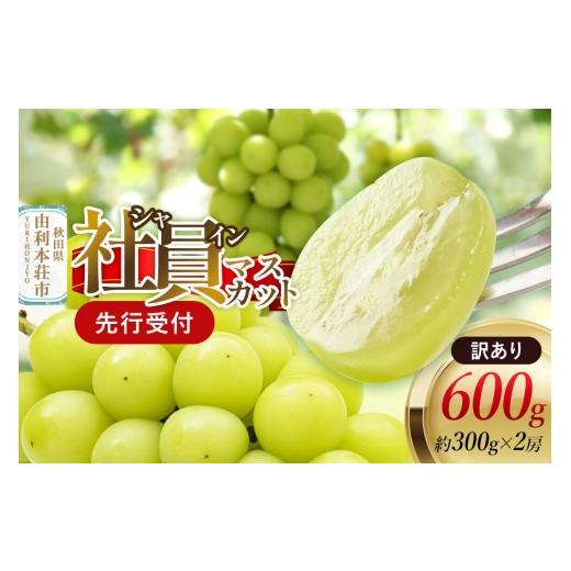 ふるさと納税 ぶどう マスカット 秋田県 由利本荘市 [先行受付] 訳あり シャインマスカット 社員マスカット 約300g×2房 約600g ぶどう ブドウ 葡萄 シャイ…
