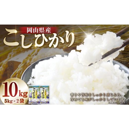 ふるさと納税 米 コシヒカリ 岡山県 美咲町 令和7年産 岡山県産 コシヒカリ 10kg ( 5kg × 2袋 ) お米 米 こめ 白米 白飯 飯 ご飯 おにぎり ブランド米 ブ…