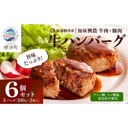 ふるさと納税 肉 ハンバーグ 北海道 標津町 北海道産 生 ハンバーグ 6個 (3パック) セット ( 1パック 100g ×2 ) 国産 無添加 おすすめ 保存料不使用 牛肉 豚…