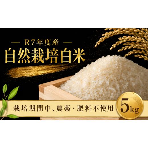 ふるさと納税 米 千葉県 香取市 自然米 5kg 白米 自然栽培米 甘さ お米 オコメ おこめ こめ 米 コメ 精米 ごはん ご飯 食味 白飯 飯 ご飯 ライス 5キロ おむす…