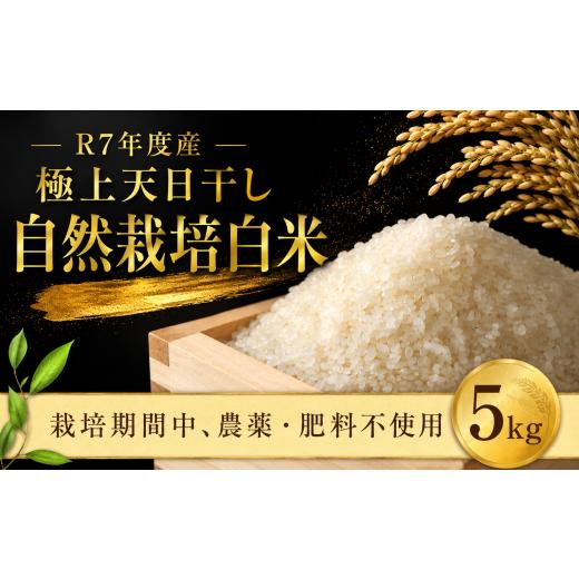 ふるさと納税 米 千葉県 香取市 自然米 5kg 極上 天日干 白米 国産 美味しい お米 米 白飯 飯 ご飯5kg 5キロ 精米 白米 こめ コメ ライス おこめ okome kome …