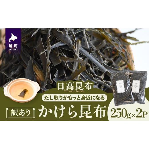 ふるさと納税 乾物 こんぶ 北海道 浦河町 訳あり かけら昆布250g×2P