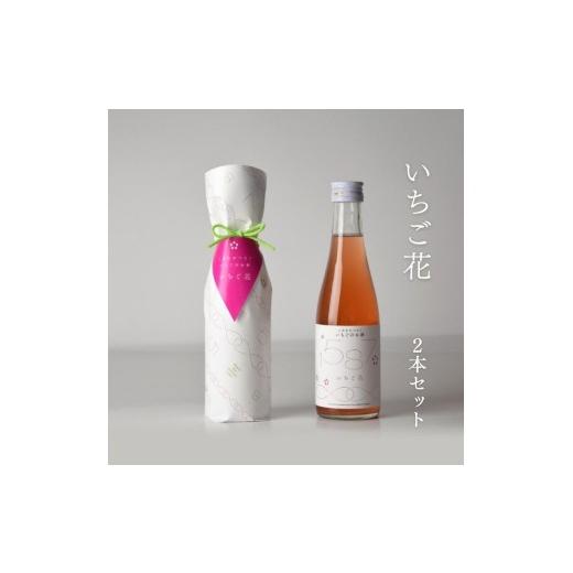 ふるさと納税 日本酒 新潟県 上越市 日本酒 お酒 かたふね いちご花 2本セット 酒 アルコール プレゼント ギフト 新潟 竹田酒造店