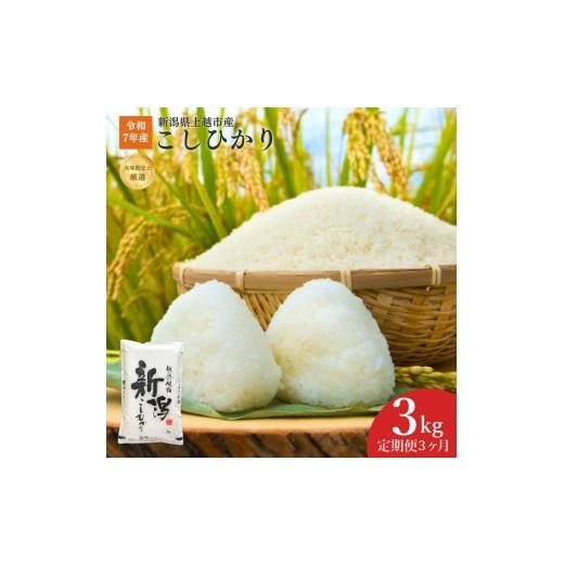 ふるさと納税 米 コシヒカリ 新潟県 上越市 令和7年産 新潟県上越産こしひかり 精米 3kg 3か月定期便 上越市 米 コメ コシヒカリ