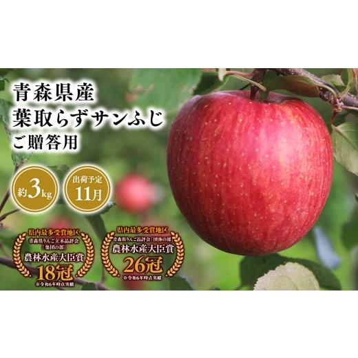 ふるさと納税 りんご 青森県 平川市 2026年11月発送 贈答用葉とらずサンふじ3kg 青森県 平川市 そと川りんご園 11月発送