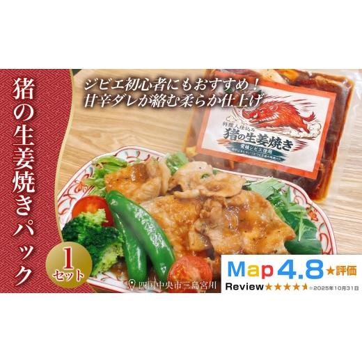 ふるさと納税 猪肉 愛媛県 四国中央市 猪の生姜焼きパック