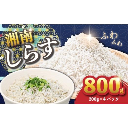 ふるさと納税 魚貝類 しらす 神奈川県 平塚市 湘南水揚げ しらす 釜揚げしらす 800g ( 200g × 4パック ) シラス 湘南しらす 漁師 手作り こだわり しらす 釜…
