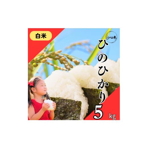 ふるさと納税 米 ヒノヒカリ 福岡県 柳川市 先行予約 令和8年度産 ヒノヒカリ 白米 5kg 令和8年12月上旬より順次発送 ブランド米 米 白米 精米 選べる 国産 …