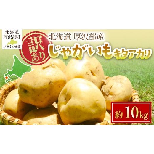 ふるさと納税 野菜類 じゃがいも 北海道 厚沢部町 2026年7月下旬頃より順次発送 (訳あり) じゃがいも キタアカリ 10kg ふるさと納税 人気 おすすめ ランキン…